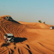 Suggestions & Considerations For the Perfect Desert Safari