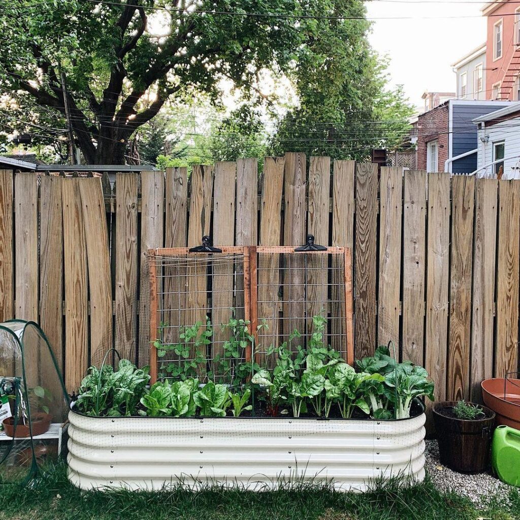 Horticulture on Your Terms: Yard Anywhere with Garden Box Kits